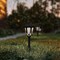 Flash Furniture Hess Black Tulip Design LED Solar Lights Weather Resistant Outdoor Solar Powered Lights, 8PK DN-SL114-8-BK-GG - alternate 5